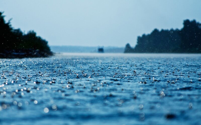 Raindrops on Water Surface — Blue, Calm, Photograph, Trees