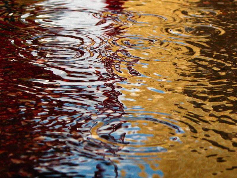 Raindrops on Water Surface — Brown, Calm