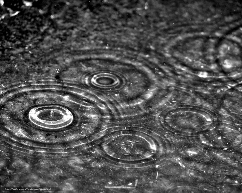raindrops on water surface