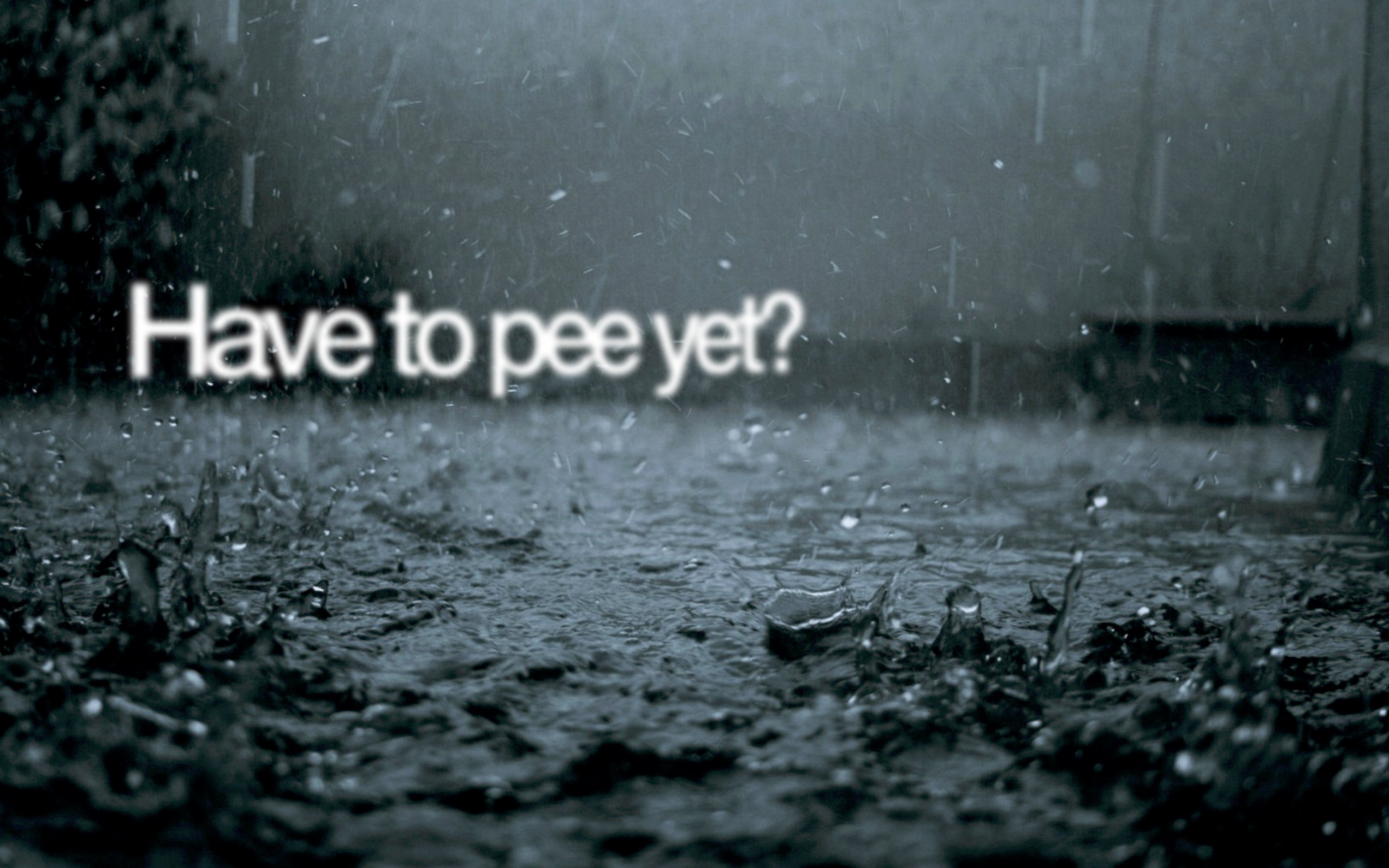 raindrops on wet ground
