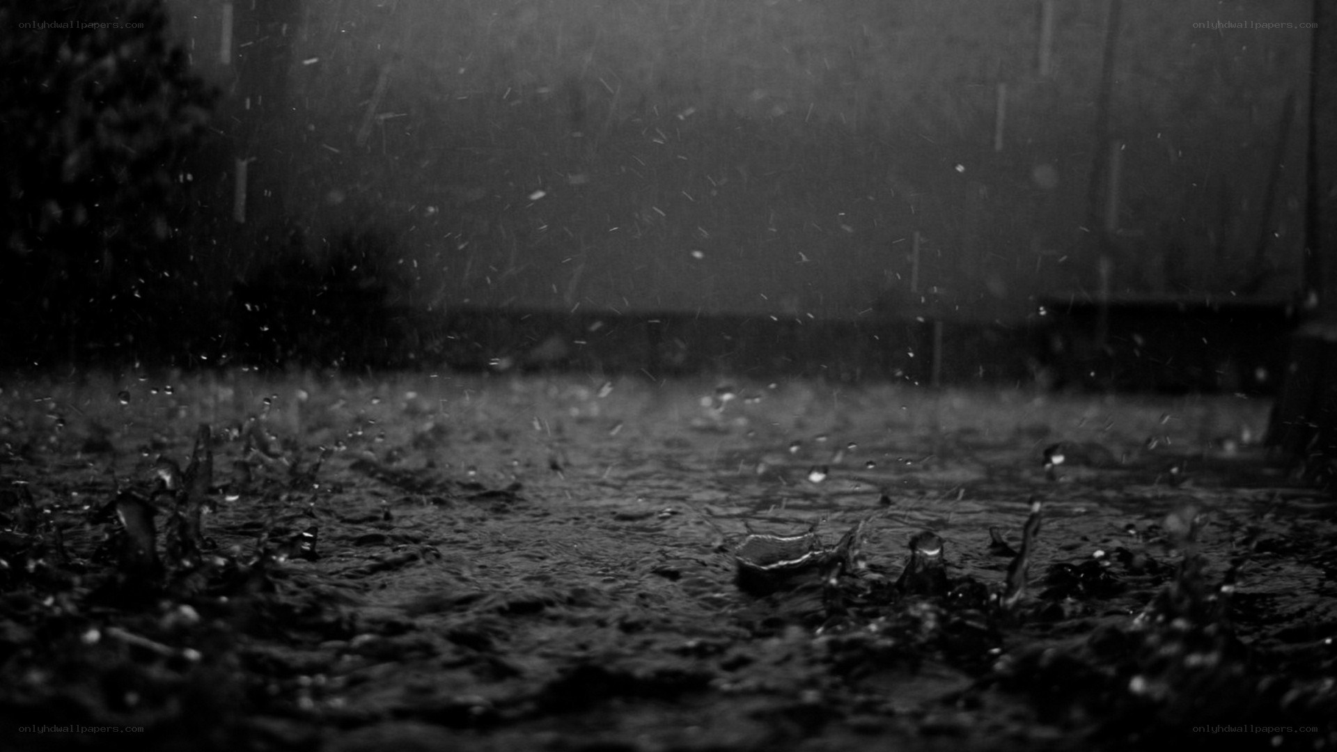 raindrops on wet ground