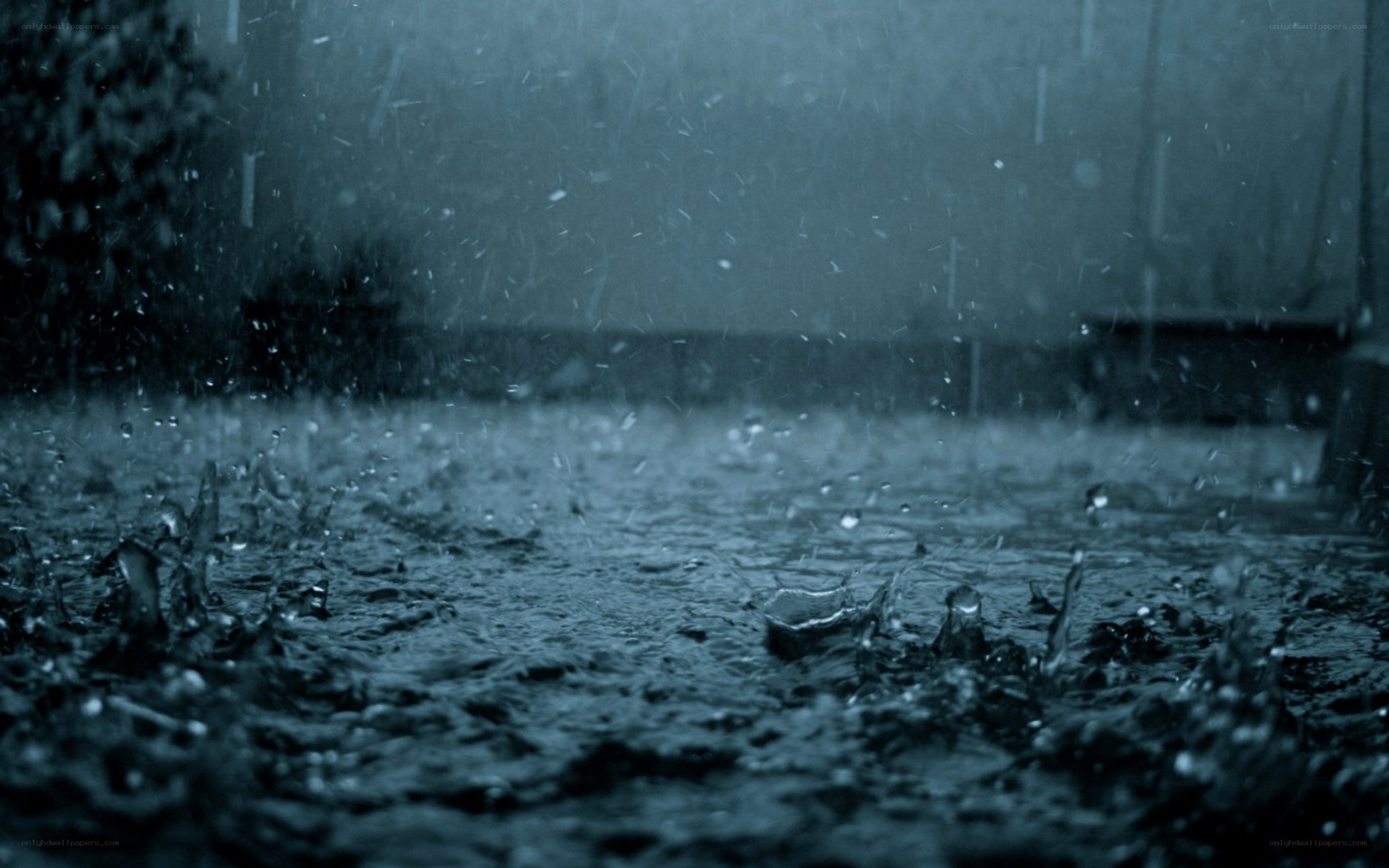 raindrops on wet pavement