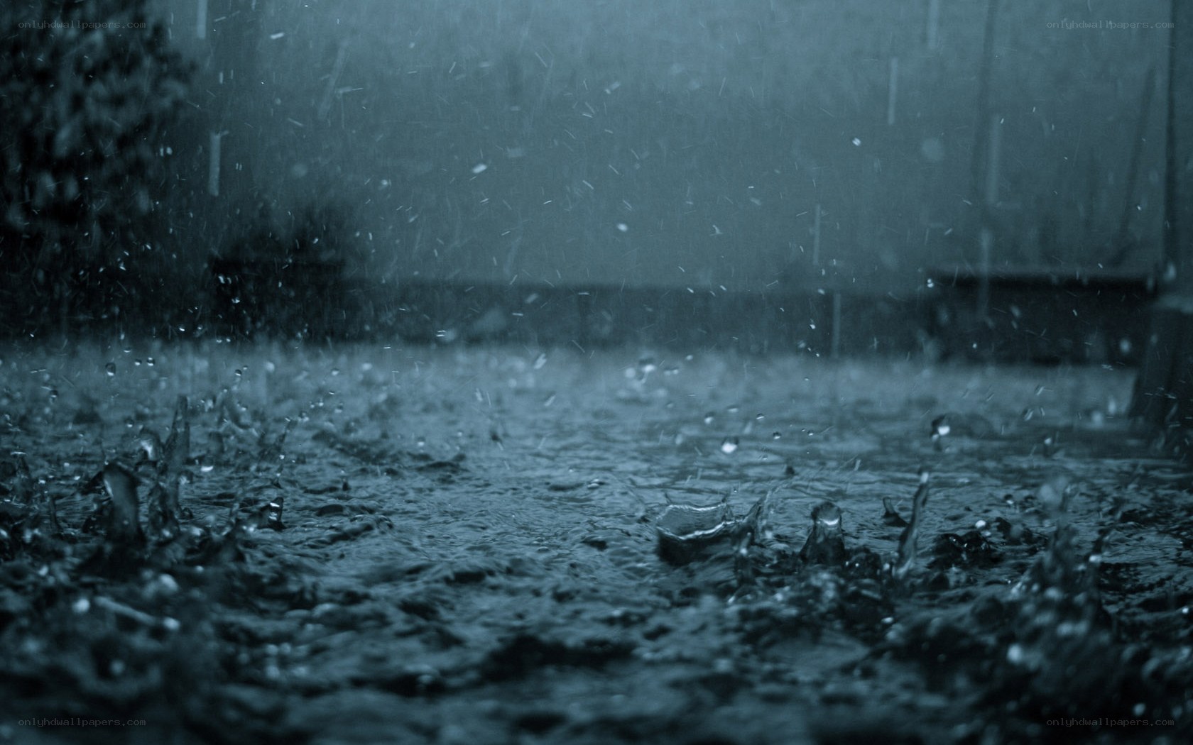 raindrops on wet pavement