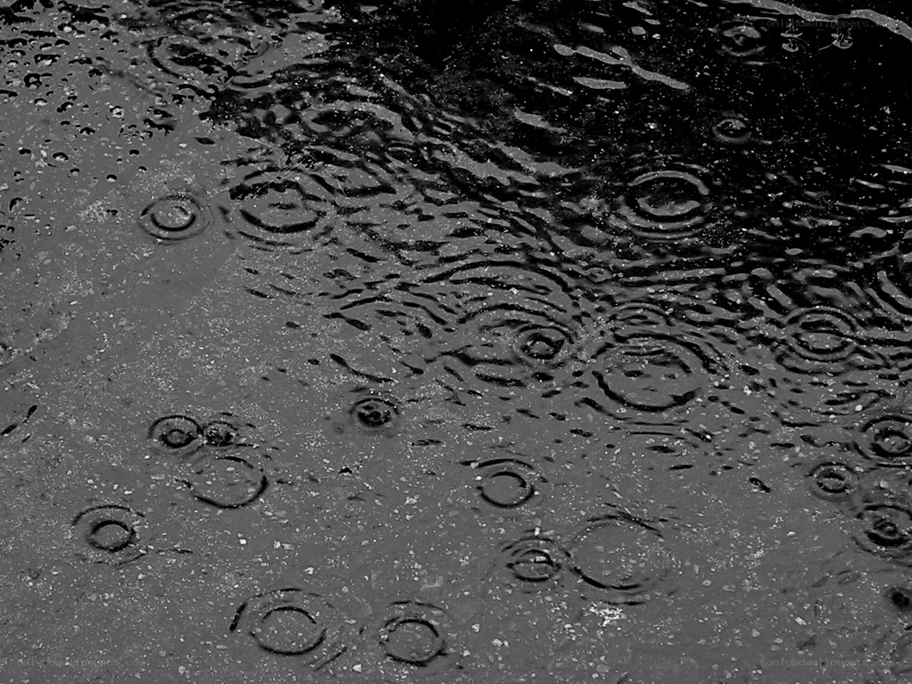 raindrops on wet pavement