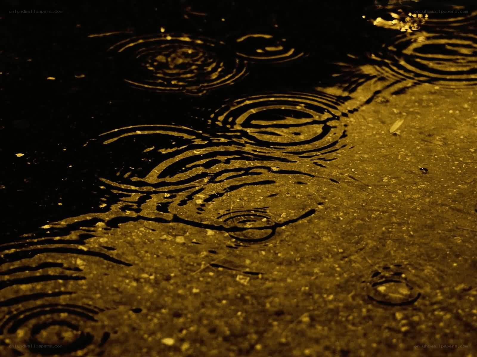 raindrops on wet pavement