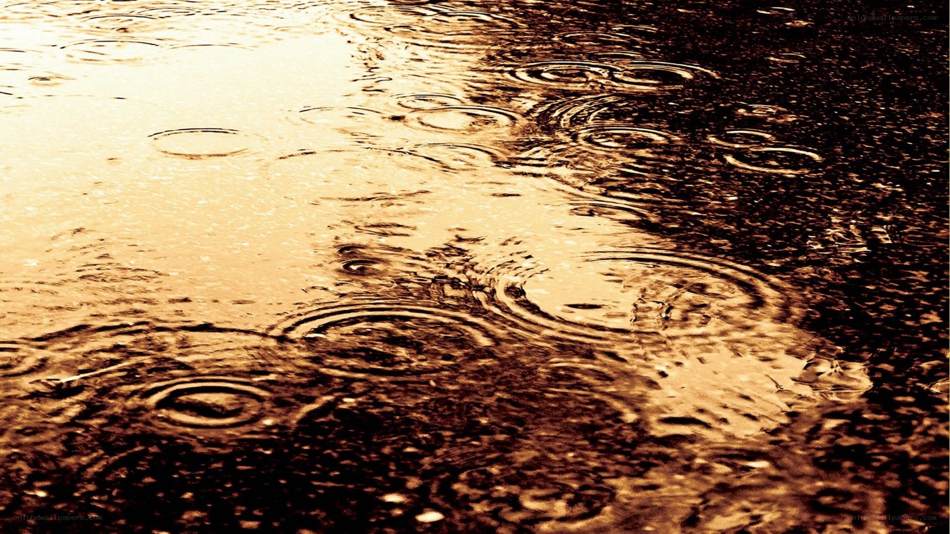 raindrops on wet pavement
