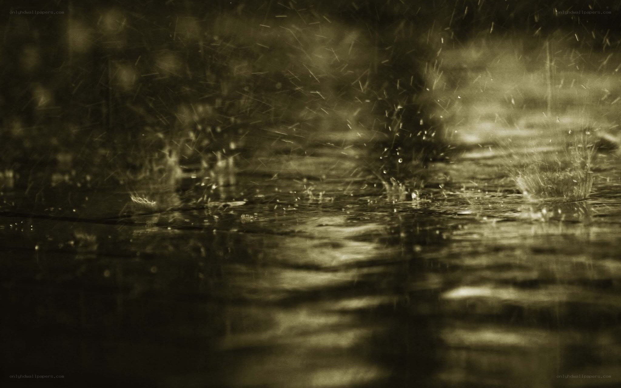 raindrops on wet pavement