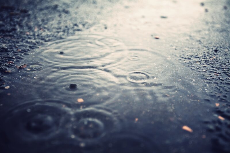 raindrops on wet pavement