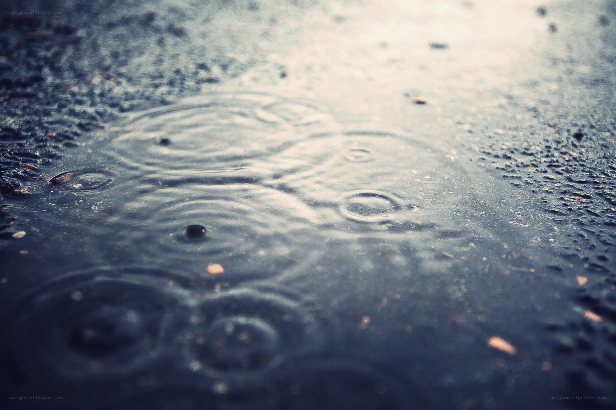 raindrops on wet pavement
