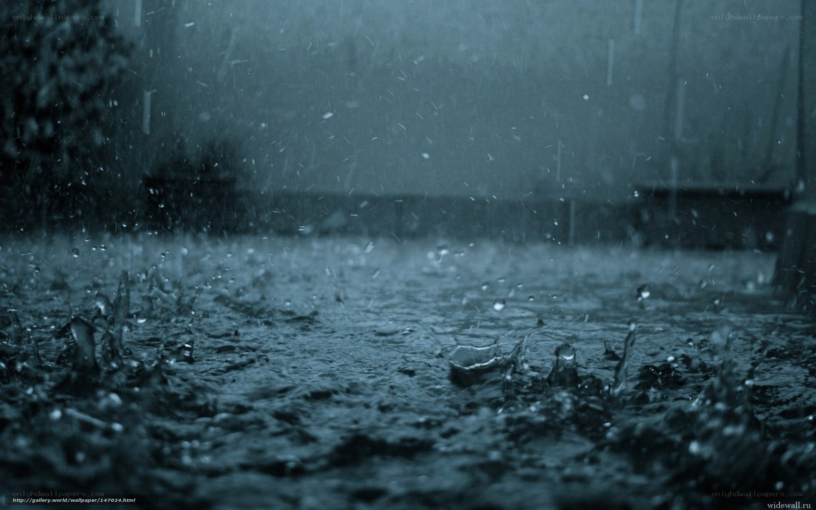 raindrops on wet pavement