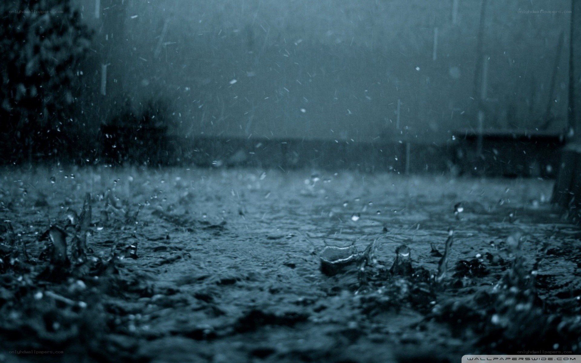 raindrops on wet pavement