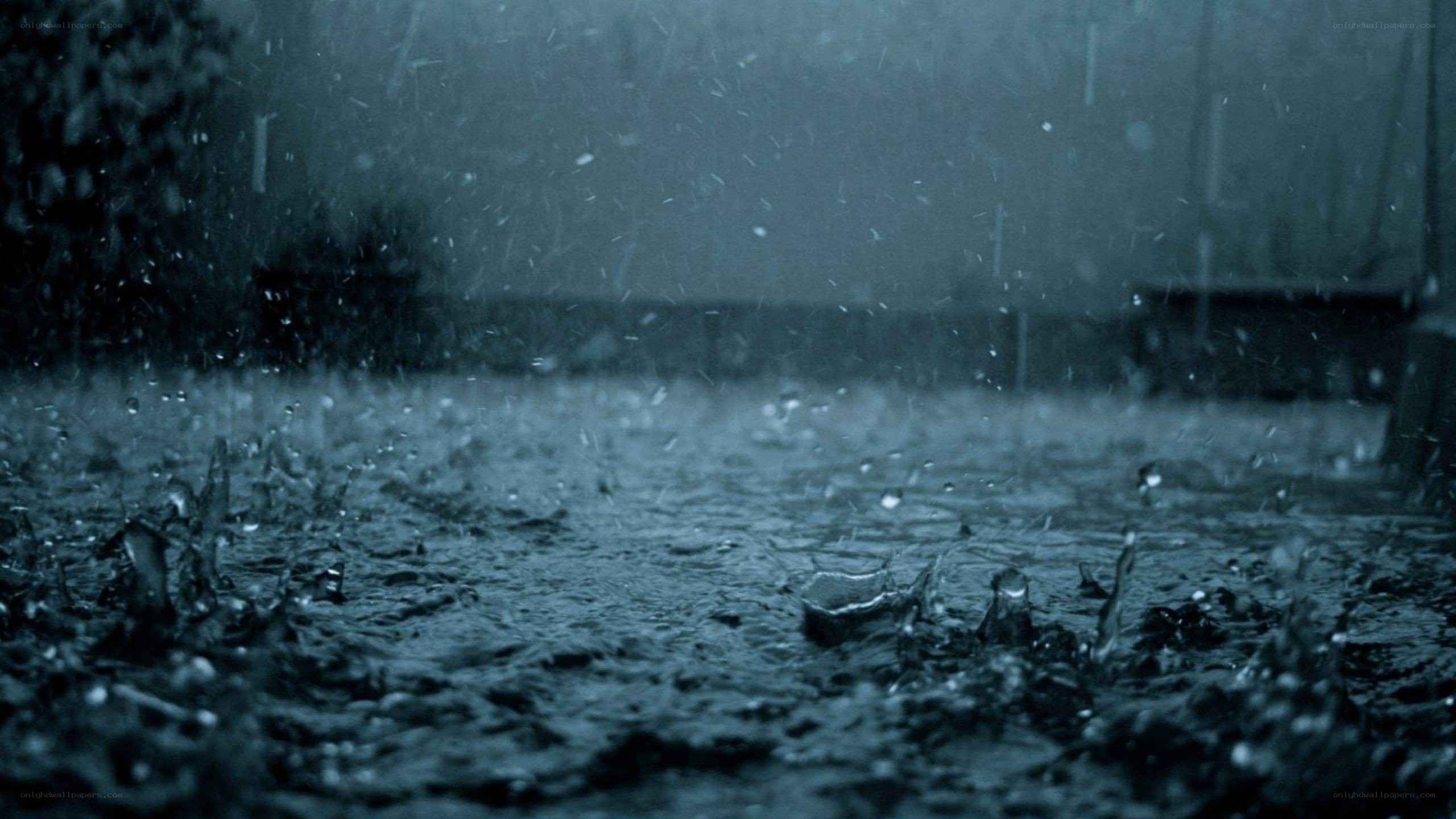 raindrops on wet pavement