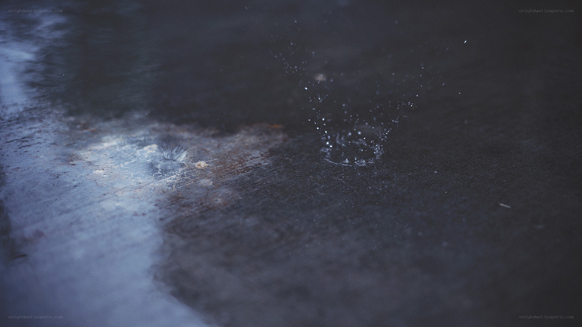 raindrops on wet pavement