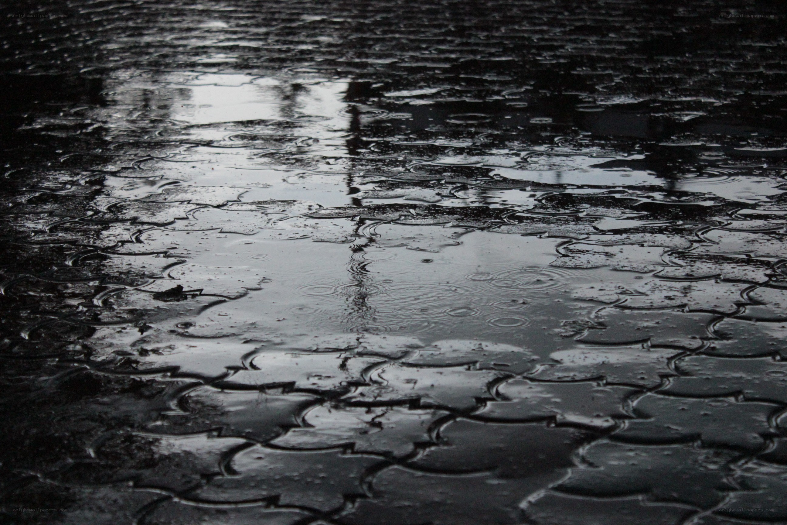 raindrops on wet pavement