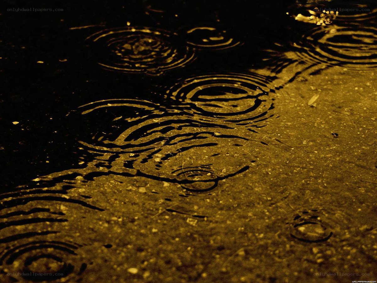 raindrops on wet pavement
