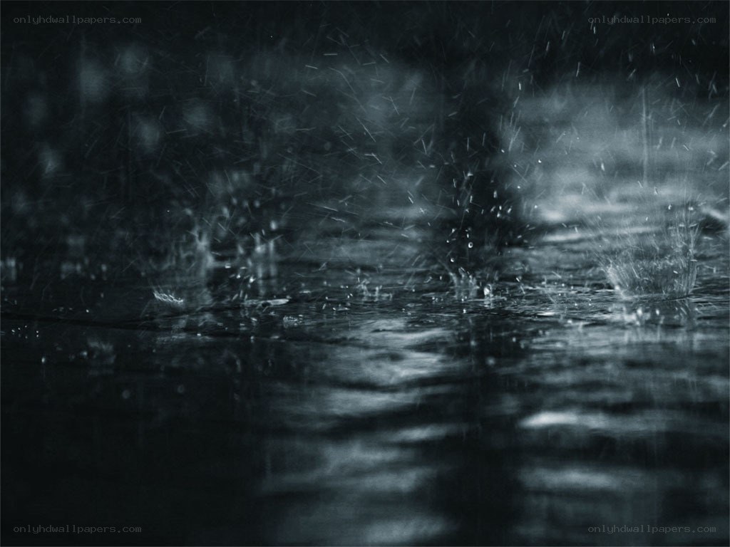 raindrops on wet pavement