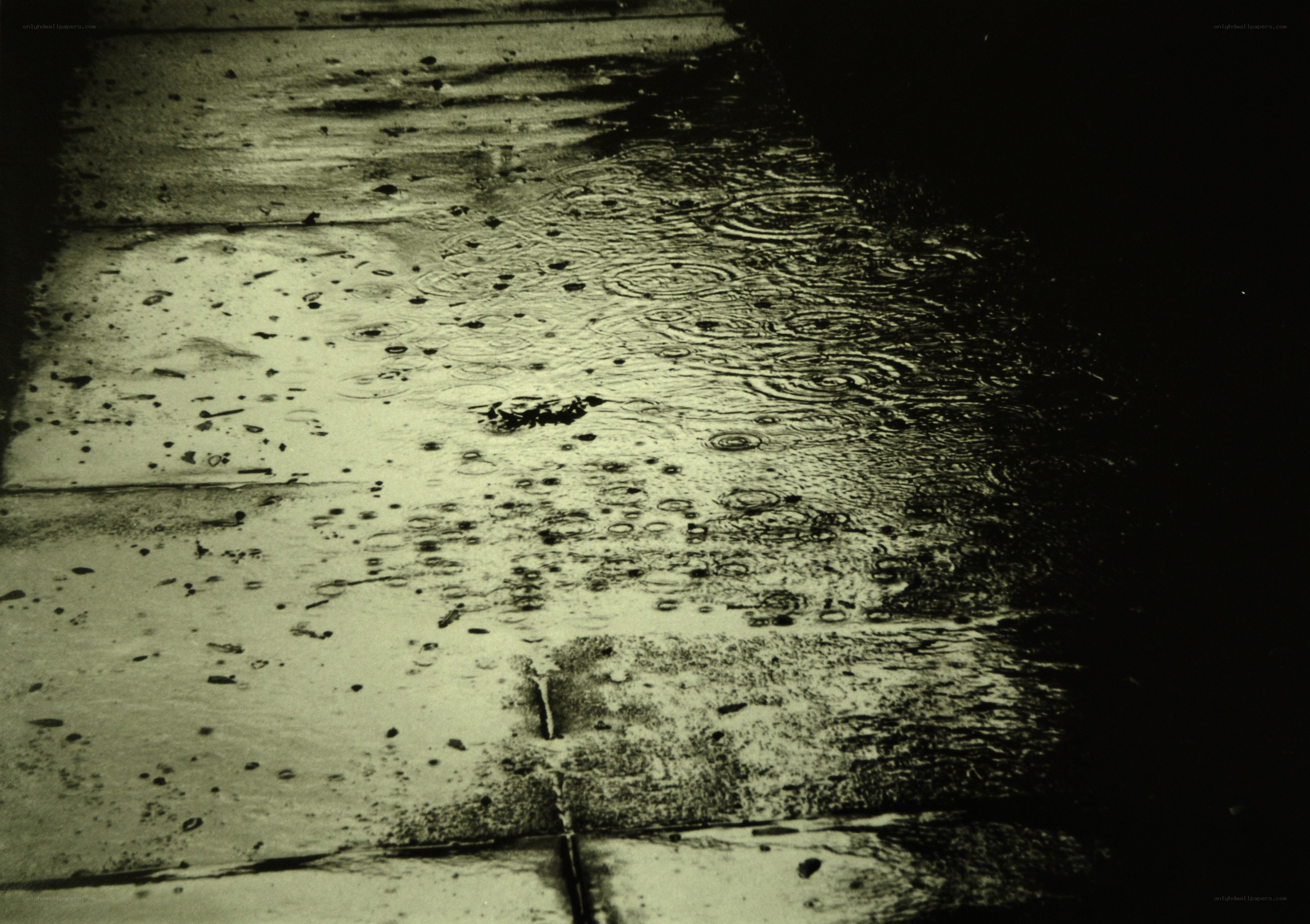 raindrops on wet pavement