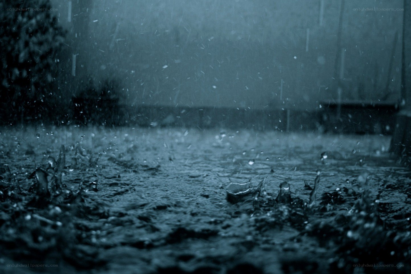 raindrops on wet pavement