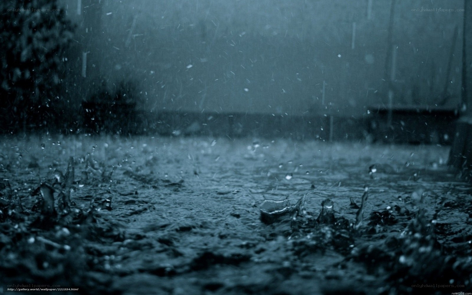 raindrops on wet pavement