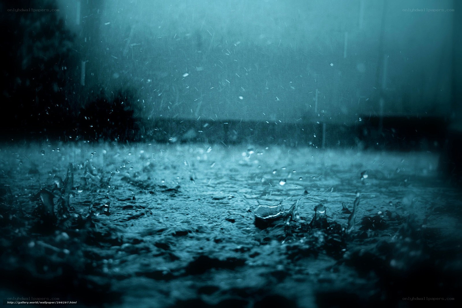 raindrops on wet pavement