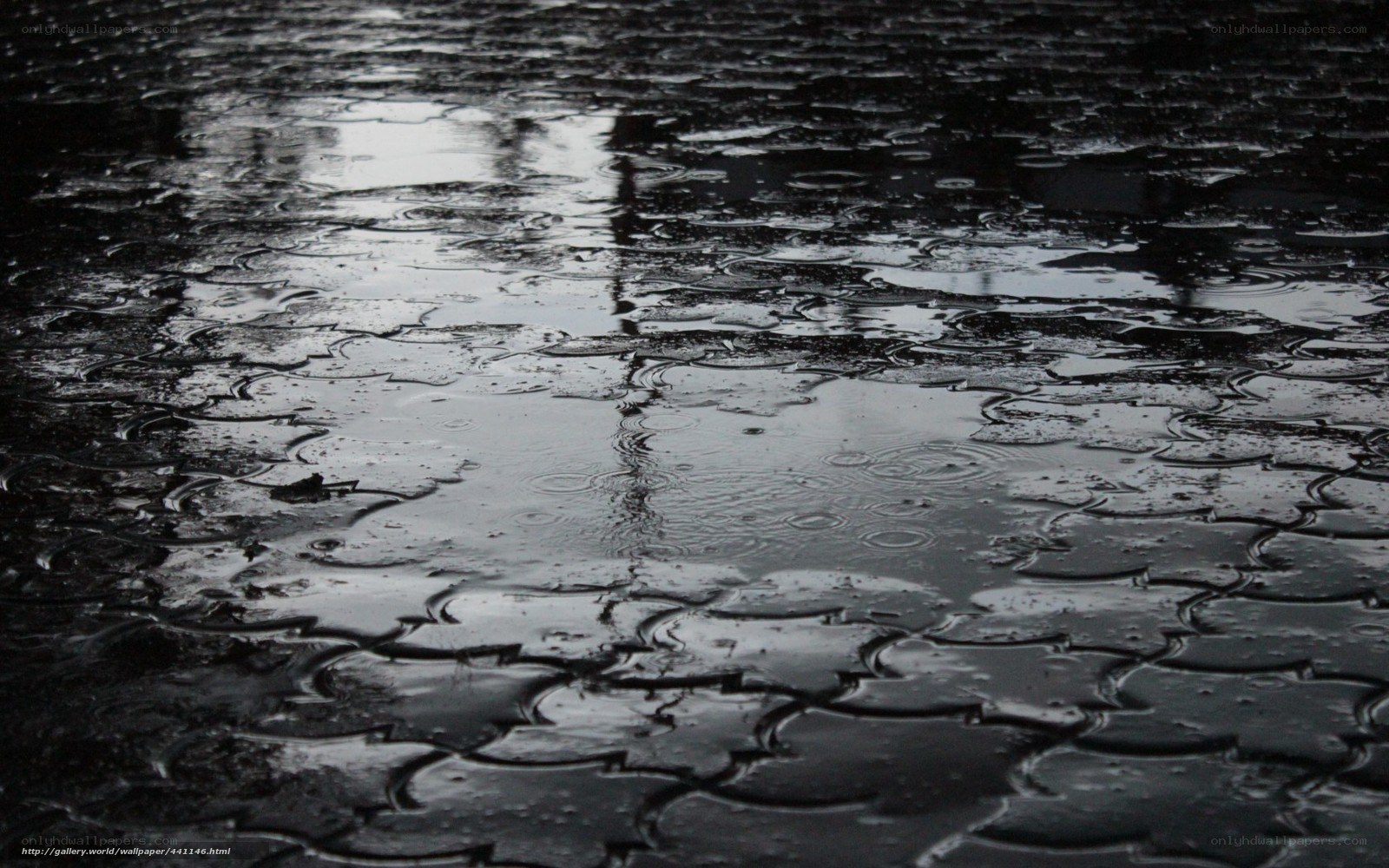 raindrops on wet pavement