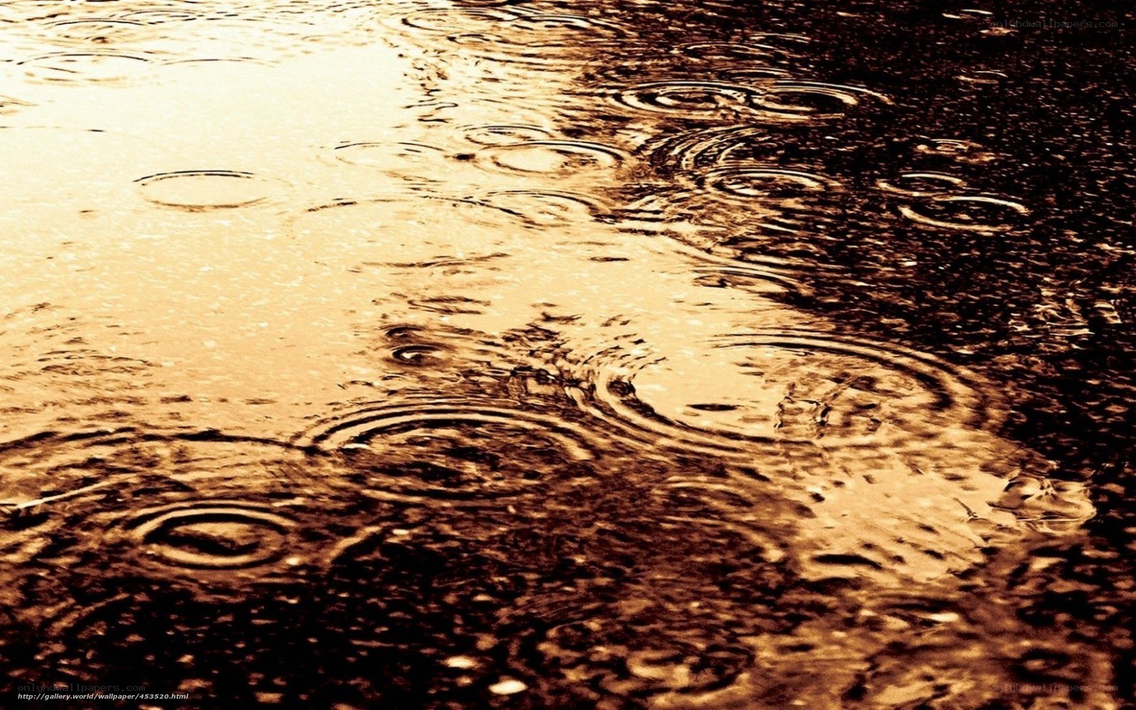 raindrops on wet pavement