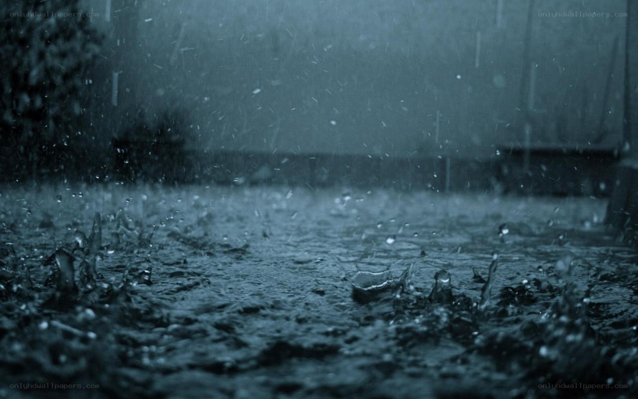 raindrops on wet pavement