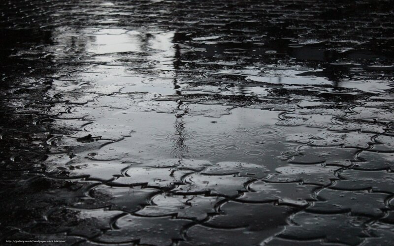 Raindrops on Wet Pavement — Black, Calm, Photograph