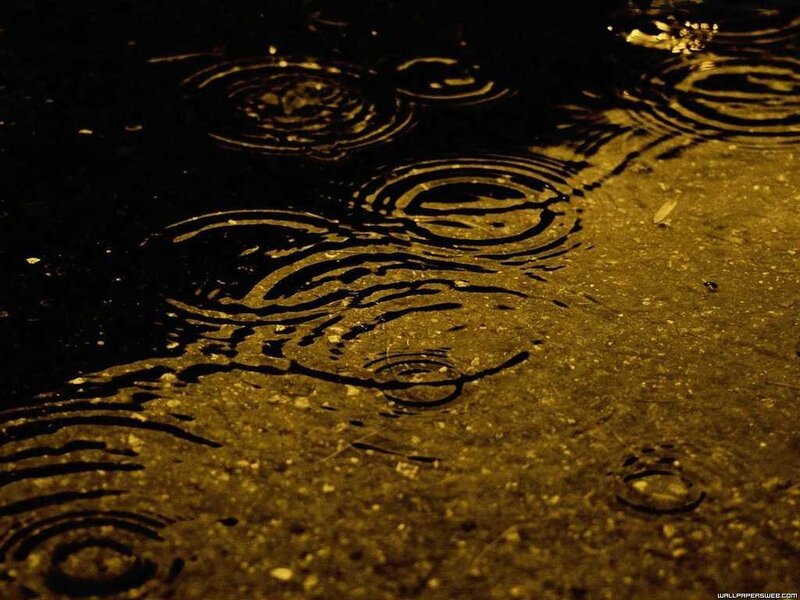 Raindrops on Wet Pavement — Black, Calm