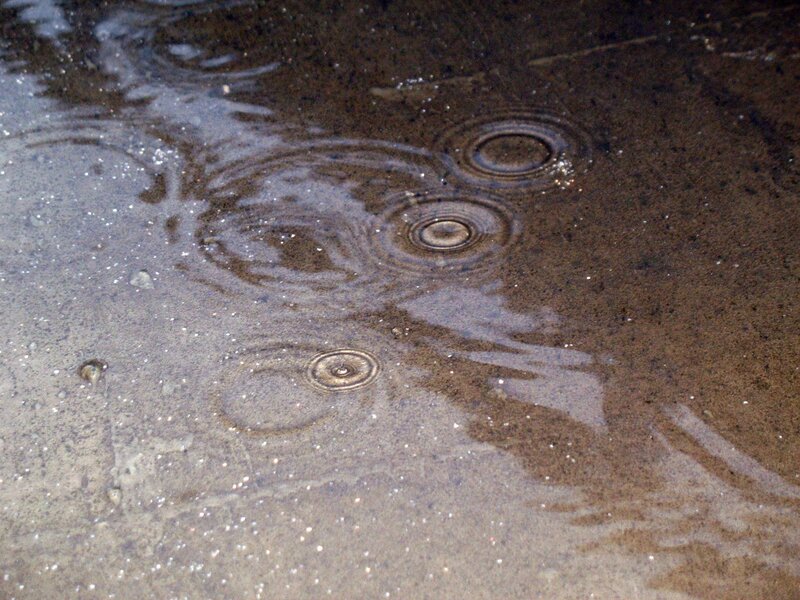 Raindrops on Wet Pavement — Gray, Calm, Photograph