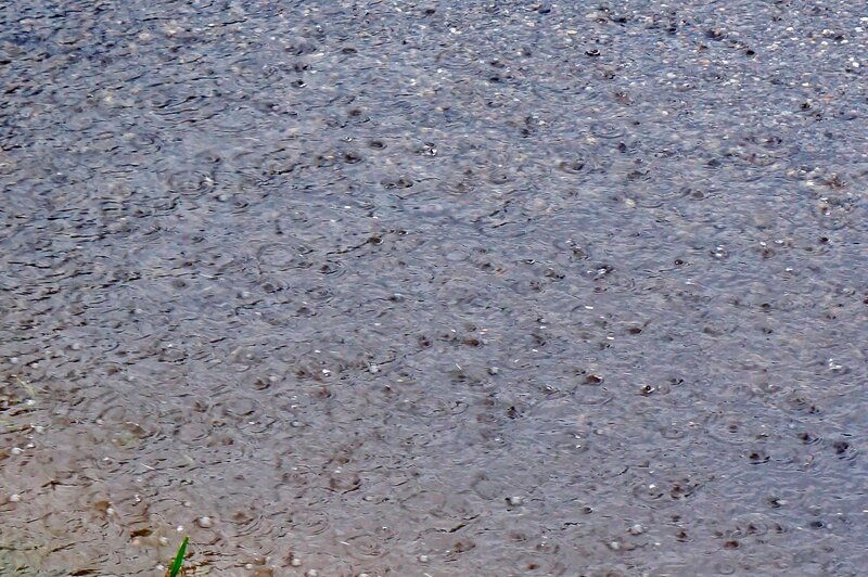 Raindrops on Wet Pavement — Gray