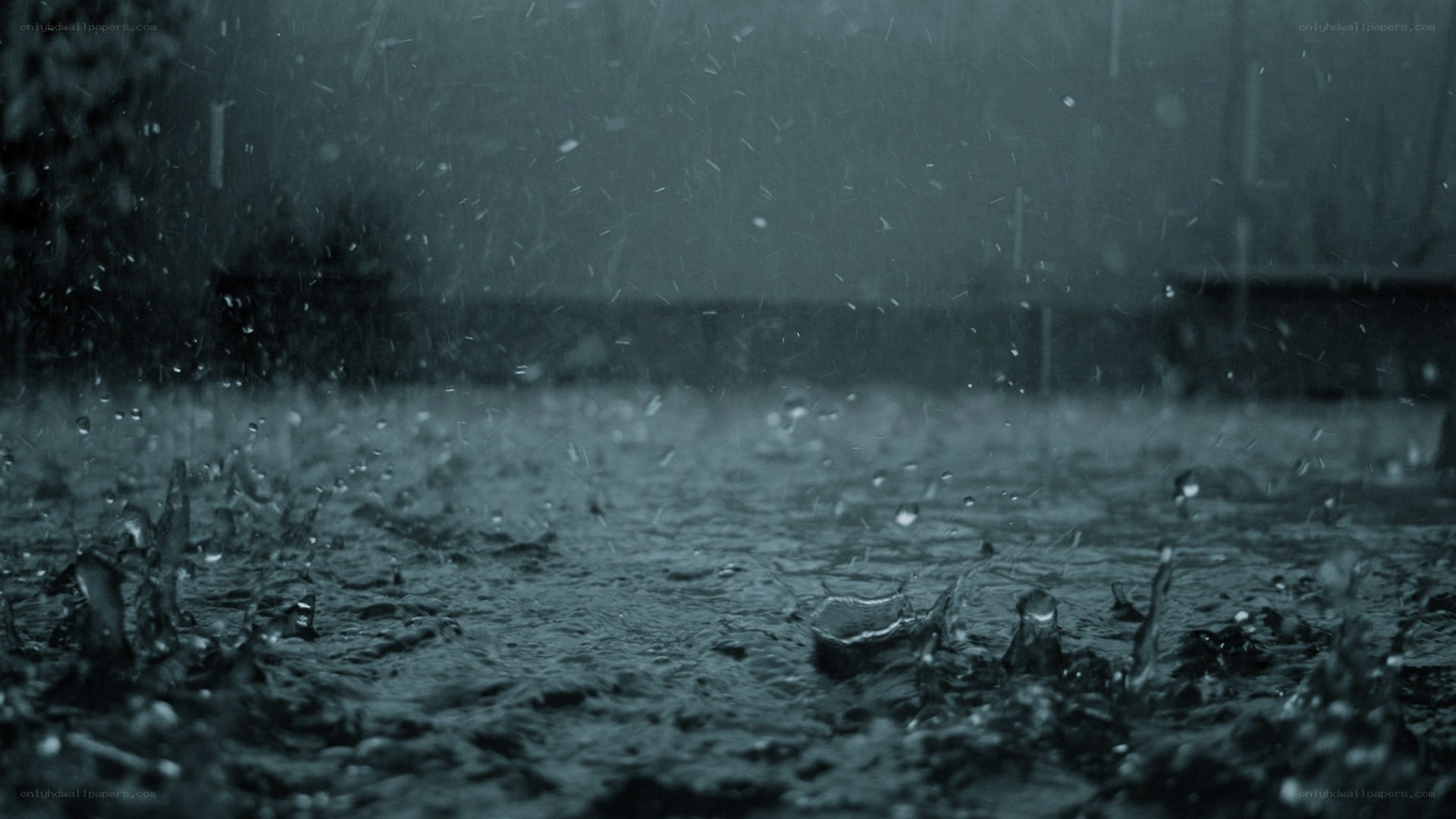 raindrops on wet surface