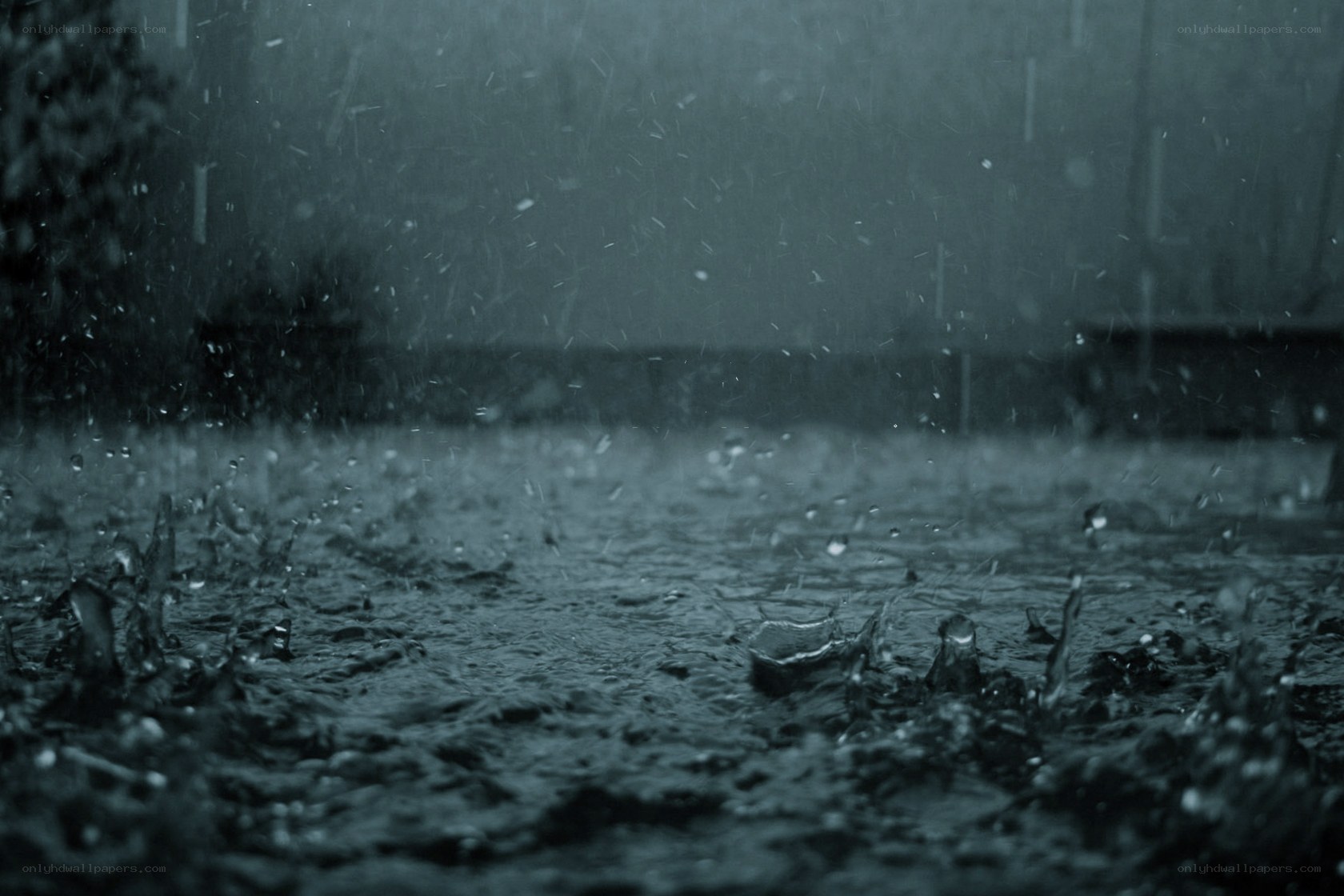 raindrops on wet surface