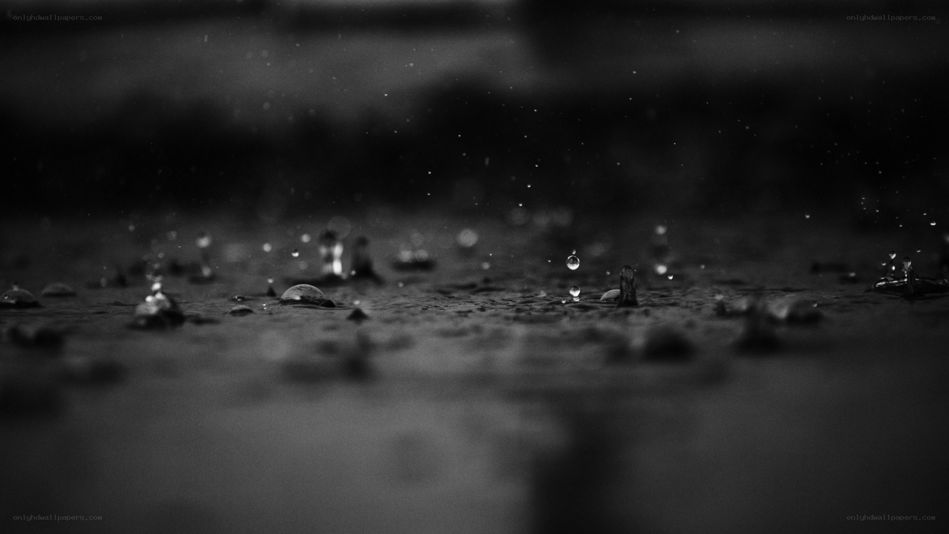 raindrops on wet surface