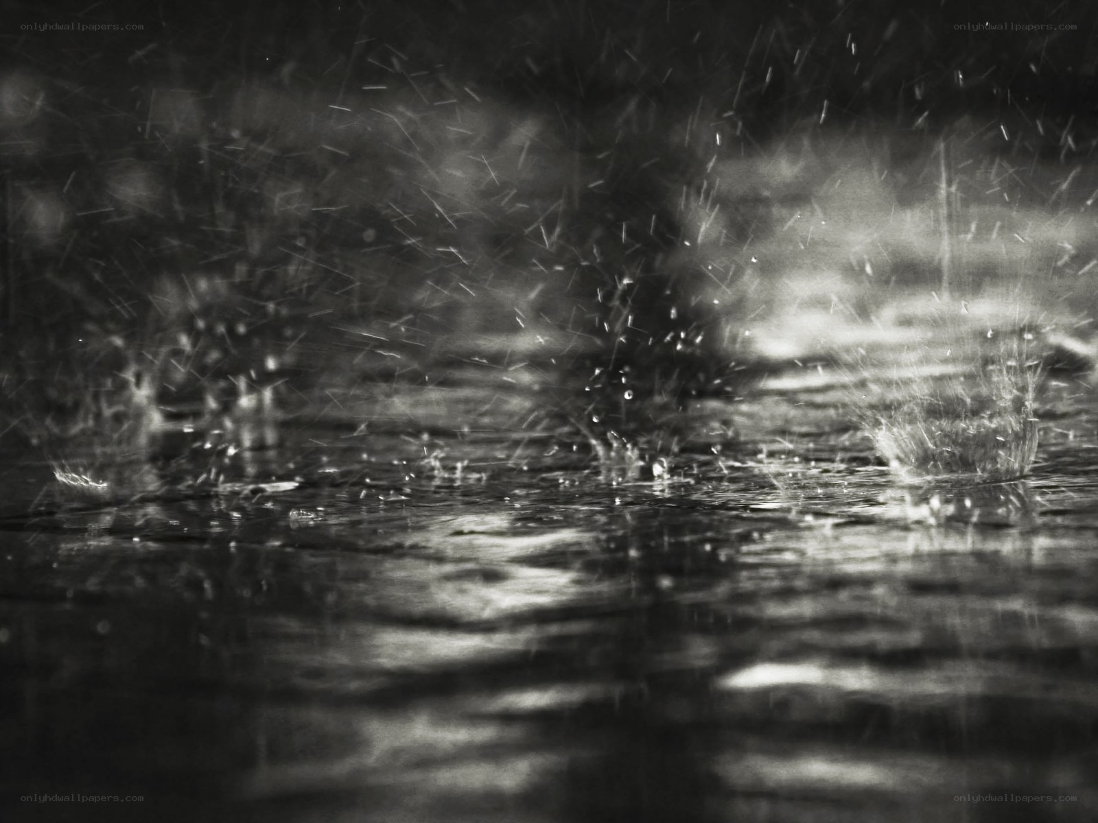 raindrops on wet surface
