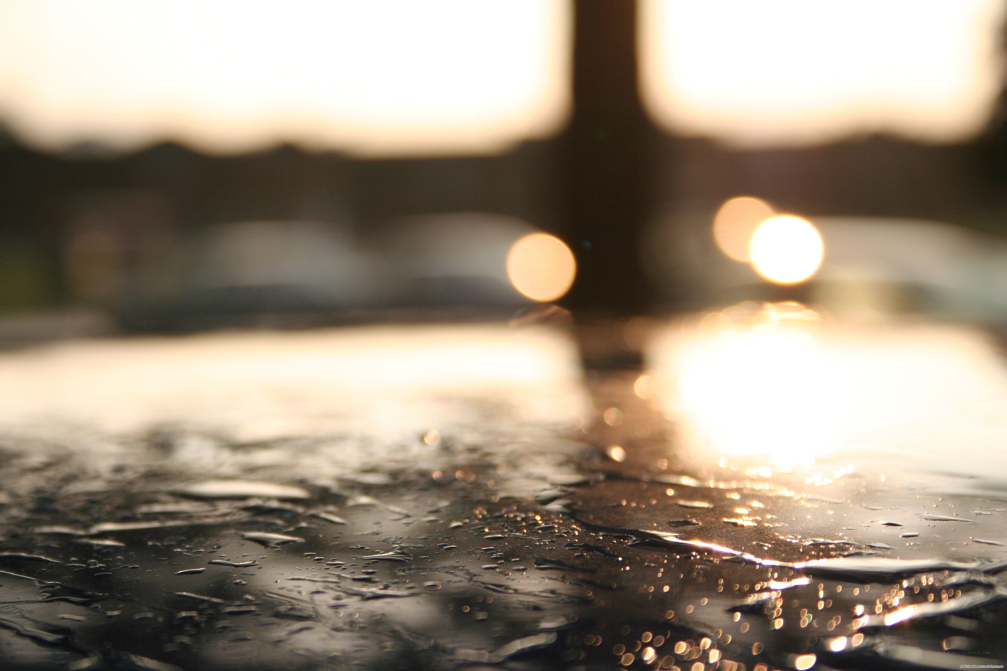 raindrops on wet surface at sunset