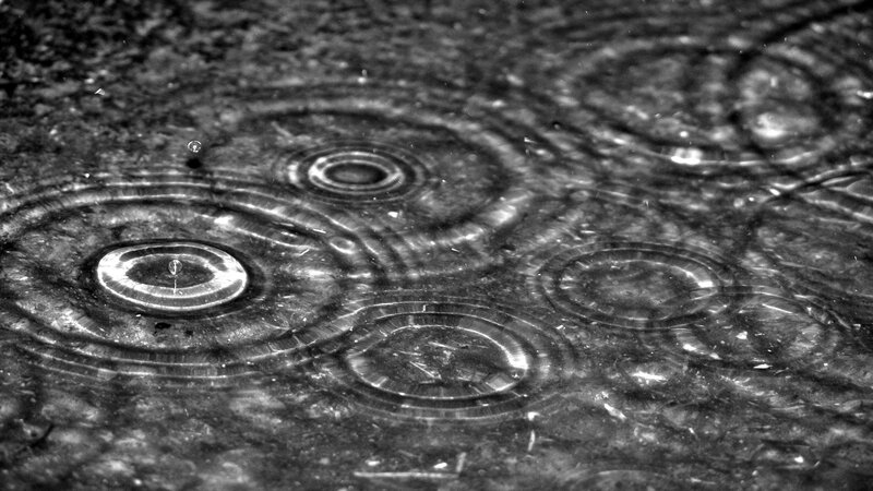 Raindrops on Wet Surface — Black, Calm, Photograph, Ripples, Puddle, Drop, White