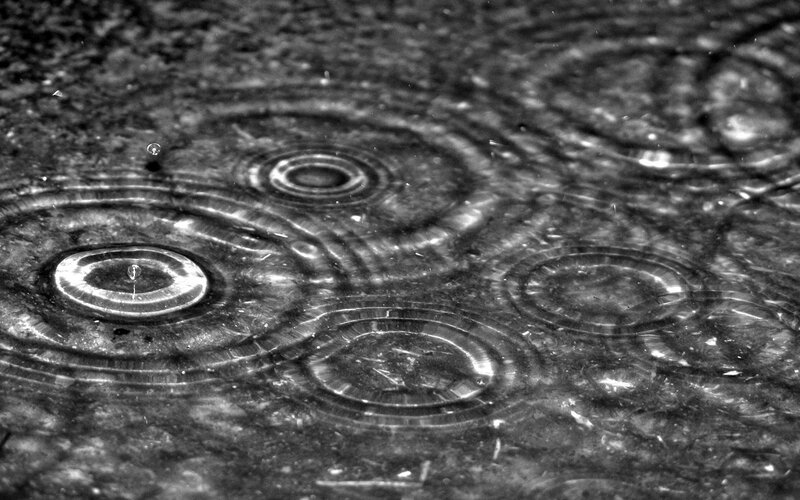 Raindrops on Wet Surface — Black, Calm, Photograph, Ripples, Puddle
