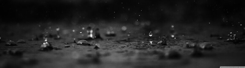 Raindrops on Wet Surface — Black, Calm