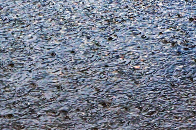 Raindrops on Wet Surface — Blue, Calm, Photograph