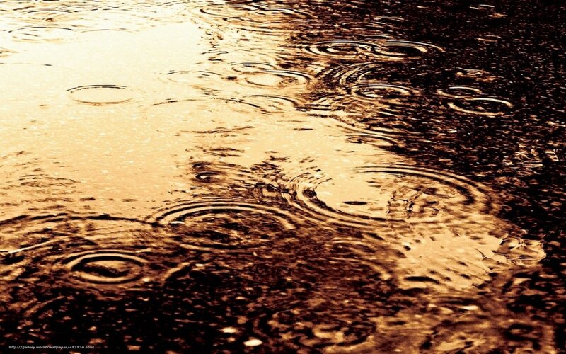 Raindrops on Wet Surface — Brown, Calm