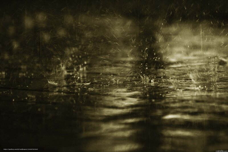 Raindrops on Wet Surface — Brown