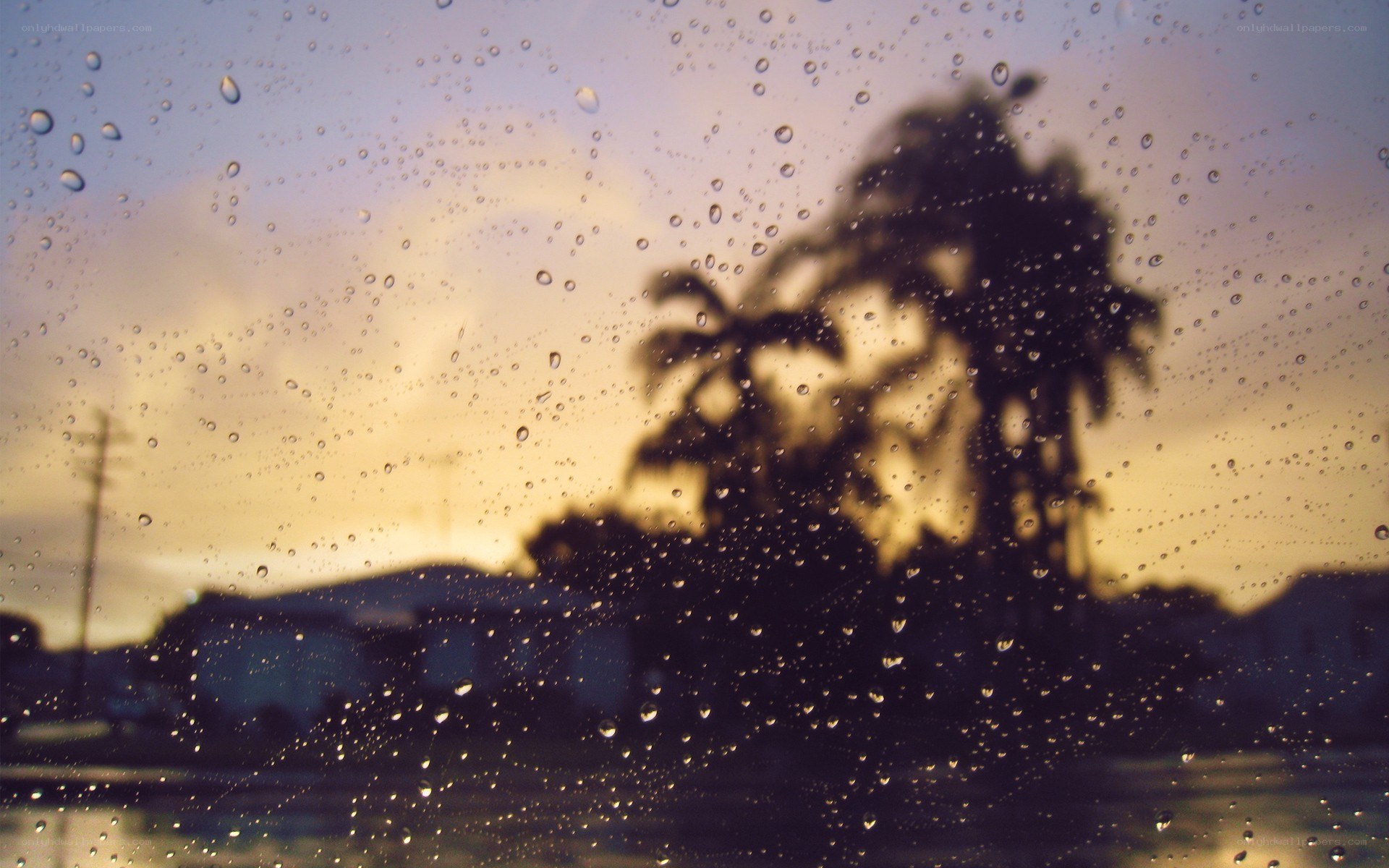 raindrops on window at sunset
