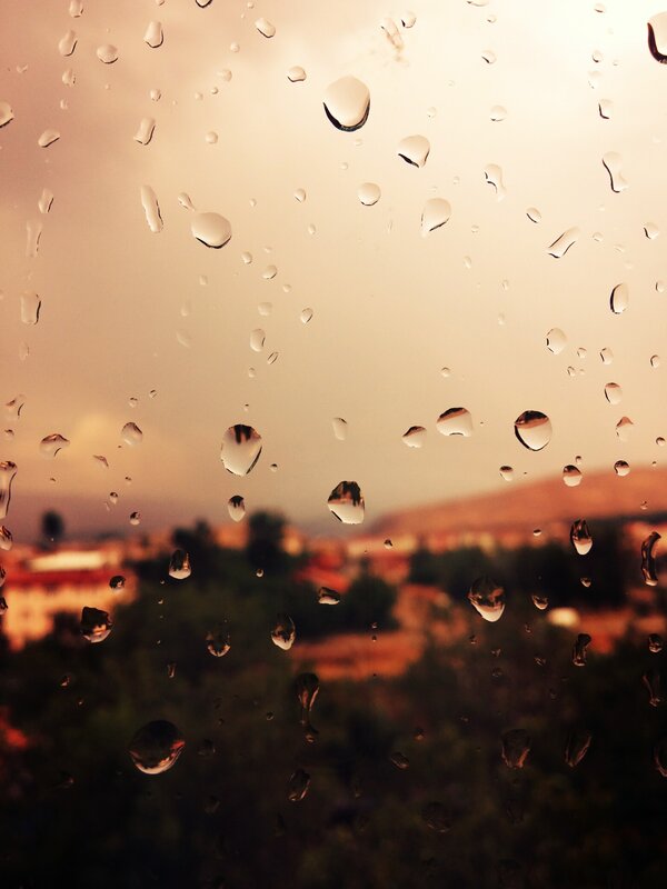 Raindrops on Window — Brown