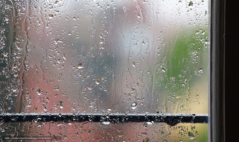 Raindrops on Window Glass