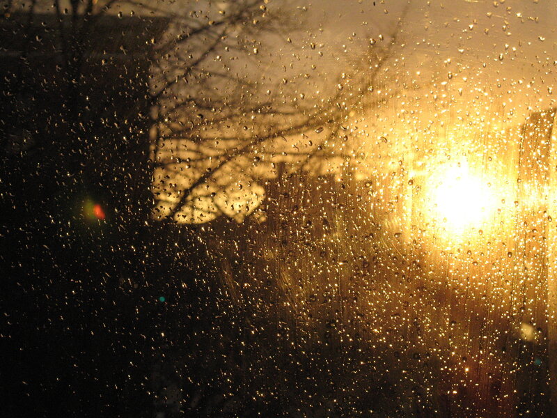 Raindrops on Window — Gold