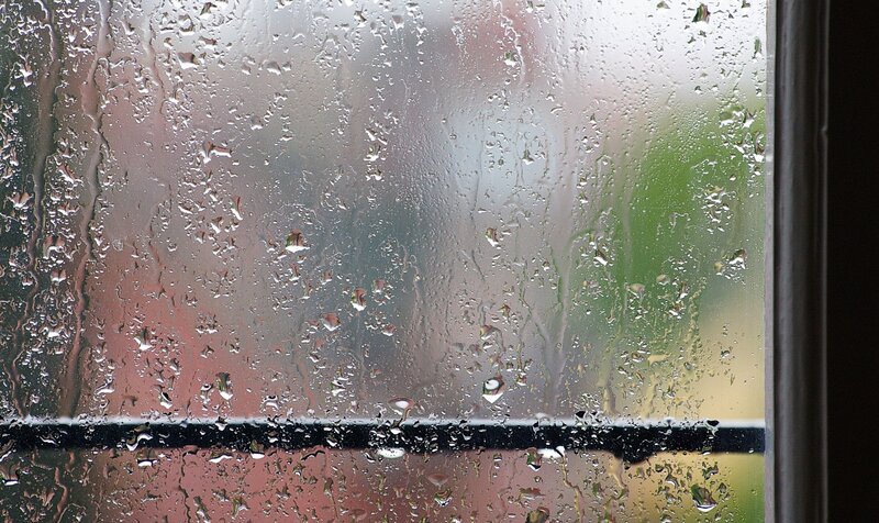 Raindrops on Window — Gray, Calm