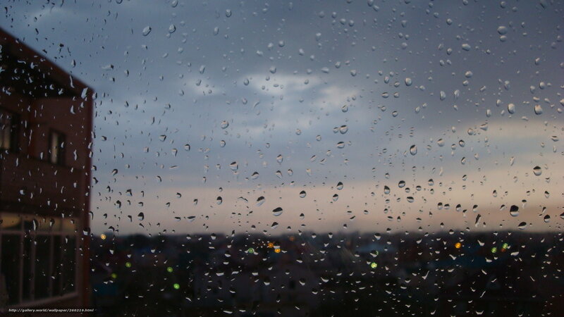 Raindrops on Window — Gray, Melancholic, Sunset