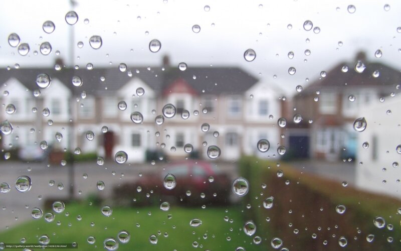 Raindrops on Window — Gray, Overcast