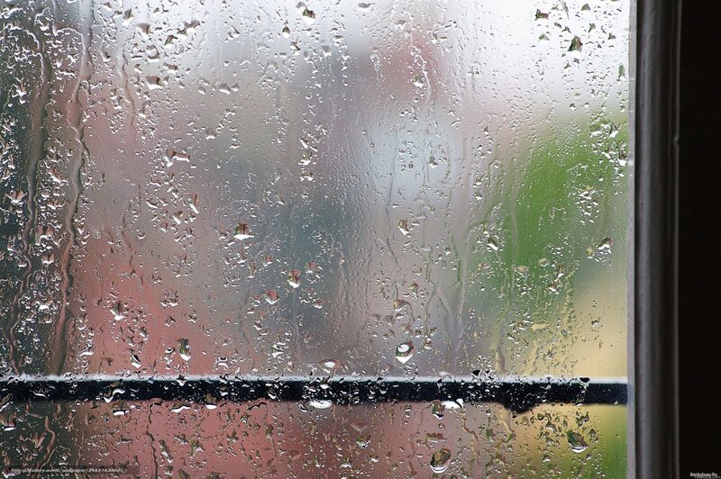 Raindrops on Window — Gray